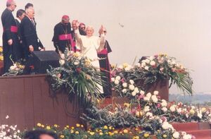 Se cumplen 34 años de la visita de Juan Pablo II a Paraguay - Nacionales - ABC Color