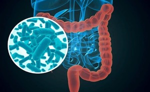 Diario HOY | Detectan vestigios del COVID en el intestino hasta 7 meses después de la infección