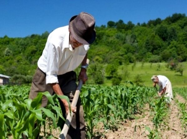 Preparan evento especial por Día del Agricultor | Radio Regional 660 AM