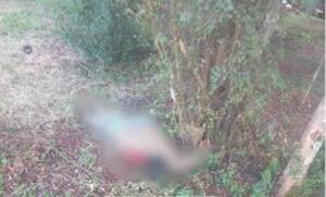 Crónica / Reportan dos fallecidos en distintos casos en Alto Paraná