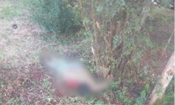 Crónica / Reportan dos fallecidos en distintos casos en Alto Paraná