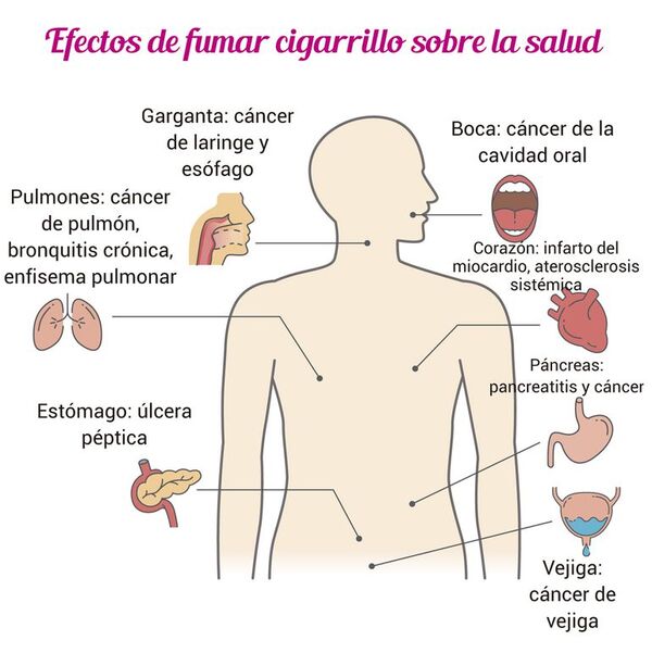Día Mundial Sin Tabaco - Escolar - ABC Color
