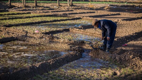 FNC se reunió con el MAG exigiendo respuestas ante la crítica situación agrícola - El Independiente