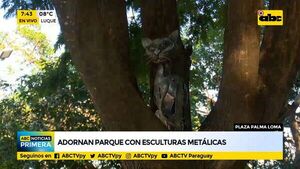 Adornan plaza con esculturas metálicas - ABC Noticias - ABC Color