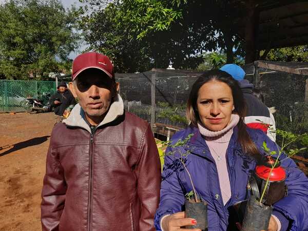 Encarnación: Municipio entrega 1500 plantines de frutillas a productores