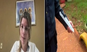 La crisis estudiantil: Violencia como escape - SNT