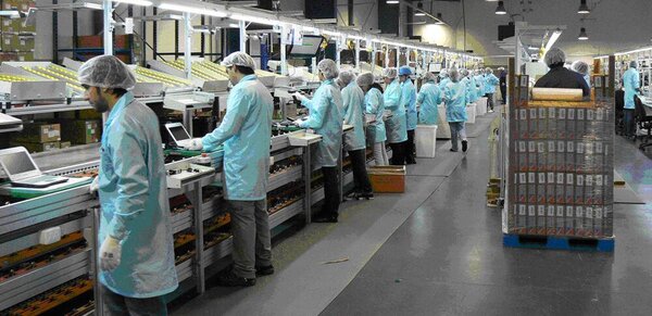 Diario HOY | Argentina organiza una misión comercial tecnológica en Bolivia y Paraguay