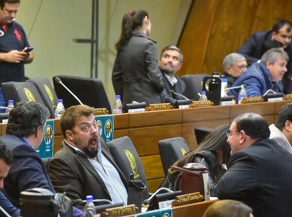 A regañadientes, diputados aprueban eliminación de cupos de combustible - Nacionales - ABC Color