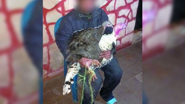 Doña perdonó a vecino que vendió sus pavos