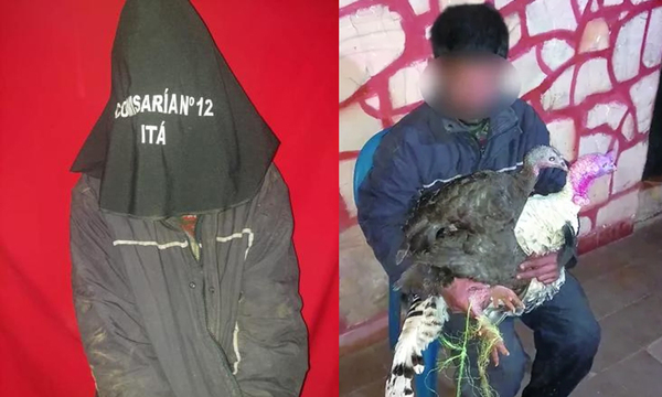 Mujer perdonó a vecino que vendió sus pavos - OviedoPress