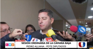 Pedro Alliana lamenta la “inutilidad y complicidad” del Gobierno ante el crimen organizado