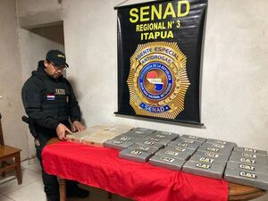 Senad incauta 40 kilos de cocaína en Cambyretã - Nacionales - ABC Color
