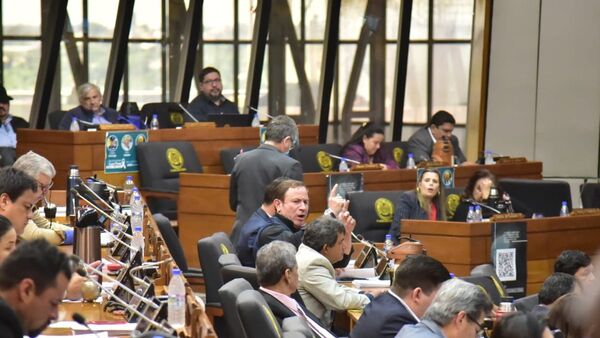 Diputados hablan de militares a la calle y juicio político tras atentado