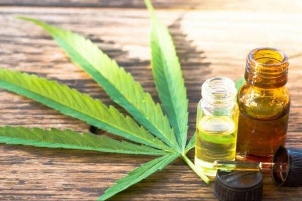 Comprar derivados del cannabis de productores no autorizados, no es garantizado según el Ministerio de Salud Pública – Prensa 5