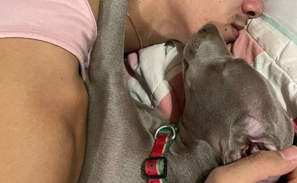 Crónica / ¡Mirále un poco al goleador! Se está recuperando con mucho amor