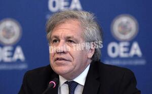 Consejo Permanente de la OEA condena asesinato del fiscal Marcelo Pecci – Diario TNPRESS