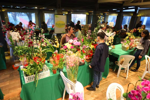 Gran concurrencia en feria de Asociación de Orquidófilos - La Clave