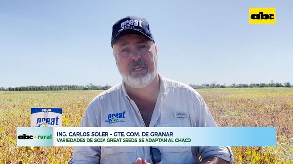 Variedades de soja Great Seeds se adaptan al Chaco - ABC Rural - ABC Color