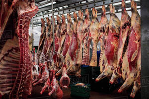 Proveedores enviaron a China más de 200 mil toneladas de carne vacuna en abril