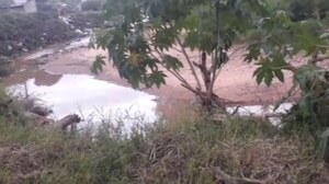 Hallan cabeza de recién nacido a orillas de arroyo en San Lorenzo - Noticiero Paraguay