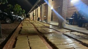 Incautan mas de 50 toneladas de marihuana en Colonia Estrella