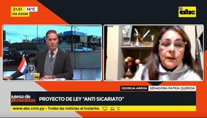 Ley “anti sicariato” es necesaria para atacar este hecho punible, justifica senadora Arrúa - Nacionales - ABC Color