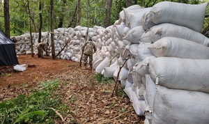 Incautan 50,4 toneladas, nuevo récord de marihuana en Amambay