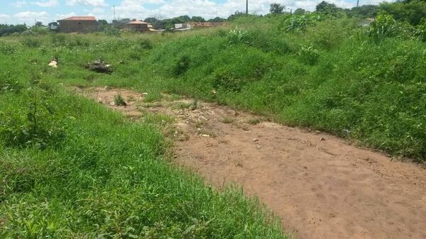 Macabro hallazgo a orillas de un arroyo en