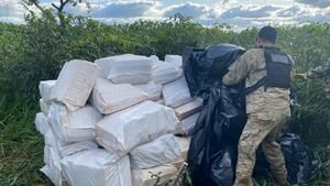 Senad incauta más 50 toneladas de marihuana en Amambay