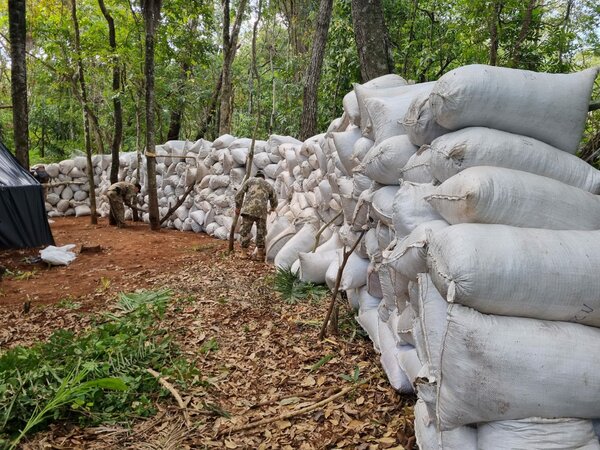 Incautan más de 50 mil kilos de marihuana en Amambay