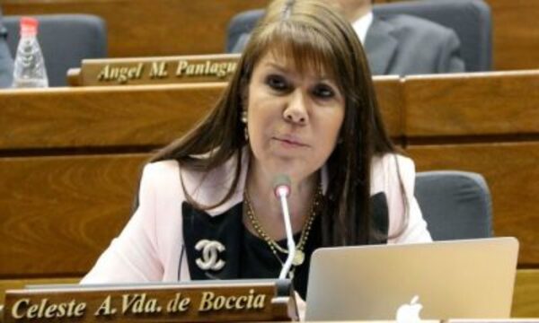 Celeste Amarilla: "Euclides Acevedo es un plan b del Partido Colorado" - El Independiente
