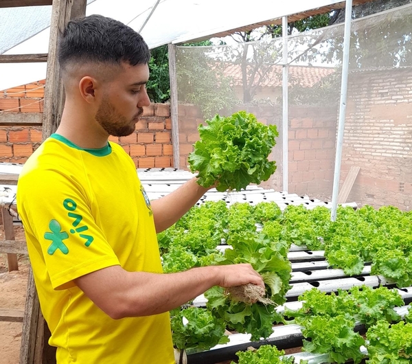 Joven desarrolló su proyecto de cultivo hidropónico y hoy comercializa lechuga con apoyo del CAH - .::Agencia IP::.