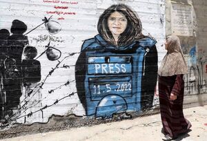 Ejército israelí refuta que no abra investigación interna de muerte de periodista palestina - Mundo - ABC Color