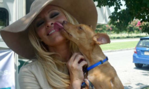 Pamela Anderson consigue un nuevo empleo como ¡paseadora de perros! - C9N