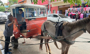 Karumbé, el transporte villarriqueño que sigue vigente en la ciudad - OviedoPress