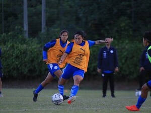 Pensando en la CONMEBOL Copa América - APF