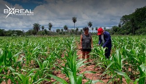 Sector productivo augura buena cosecha de granos