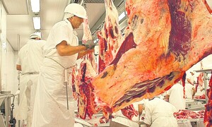 Brasil exportó 37% de la producción de carne vacuna en el primer trimestre