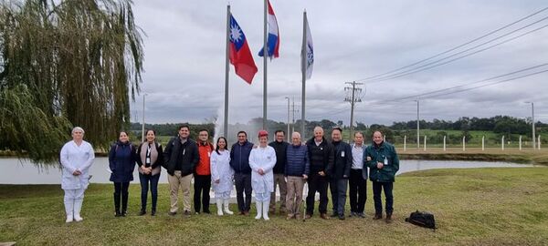 Taiwán cierra este viernes auditoría a industria porcina de Paraguay, con reunión en el MIC - Nacionales - ABC Color