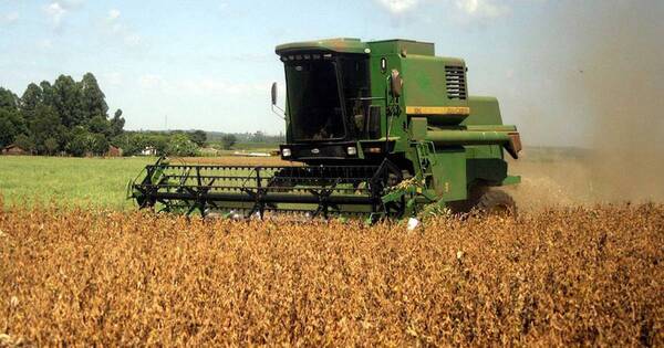 La Nación / Guerra en Ucrania: hay preocupación por falta de fertilizantes en América Latina