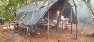 Nueva Alianza XXXII: 258 toneladas de marihuana destruidas en tres días de operativo - Radio Imperio