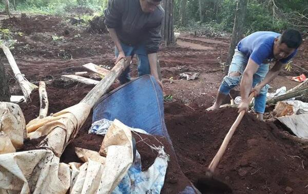 Indígenas sufren violento desalojo por tercera vez en Alto Paraná – Prensa 5