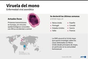 Viruela del mono: qué se sabe hasta ahora y cuál es la buena noticia - Mundo - ABC Color