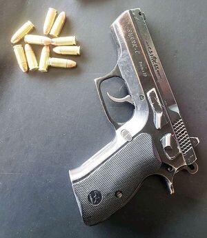 “Todo tipo de armas de fuego que se se registran en el sistema dejan una huella”, afirma Jefa del Criminalística de la Policía Nacional - Periodísticamente - ABC Color