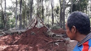 Indi pedirá informe a Fiscalía y Policía tras desalojo de indígenas en Minga Porã