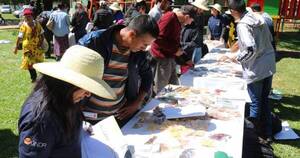 La Nación / Promueven proyecto agroecológico para impulsar seguridad alimentaria en familias campesinas