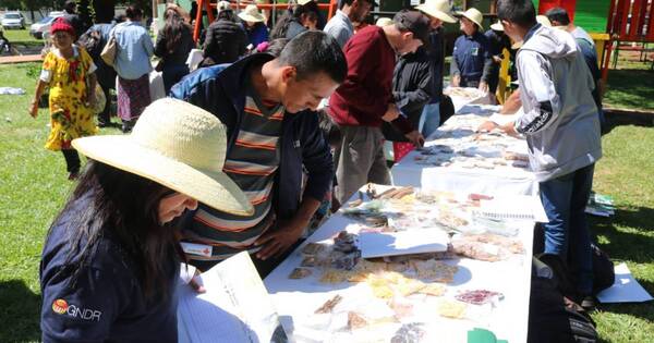 La Nación / Promueven proyecto agroecológico para impulsar seguridad alimentaria en familias campesinas