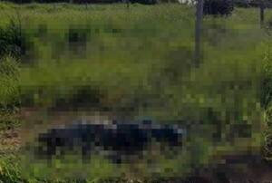 Crónica / En medio de un yuyal encuentran el cuerpo de un hombre