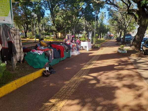 Venta de prendas seminuevas y plantines, alternativa económica para cubrir gastos del hogar