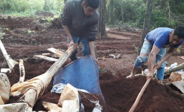 Solicitarán informes de desalojo en comunidad indígena de Minga Porã